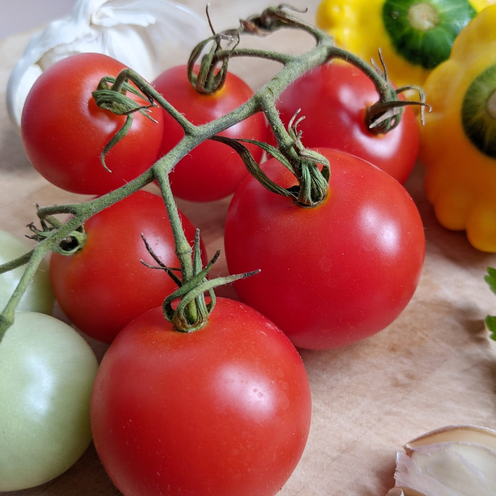 Tomato 'Mountain Magic'