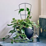  Petite Trellises, Set of 3 - Standard Shipping Included