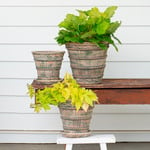  French Harvest Pots and Saucers