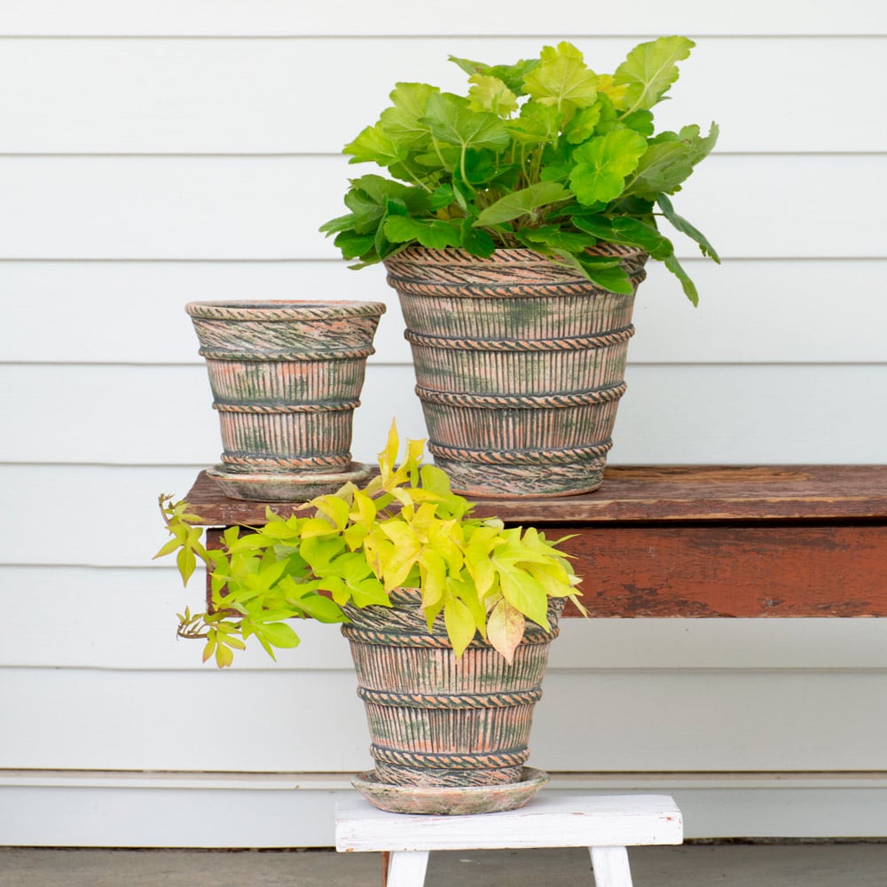 French Harvest Pots and Saucers