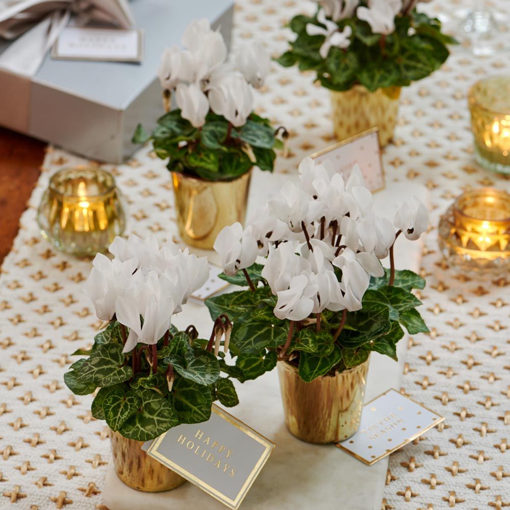Holiday Tabletop Accents White Flower Farm