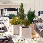  Tabletop Evergreen Quintet