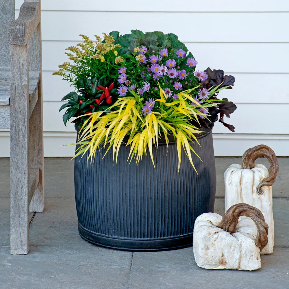 Octoberfest Fall Container Garden