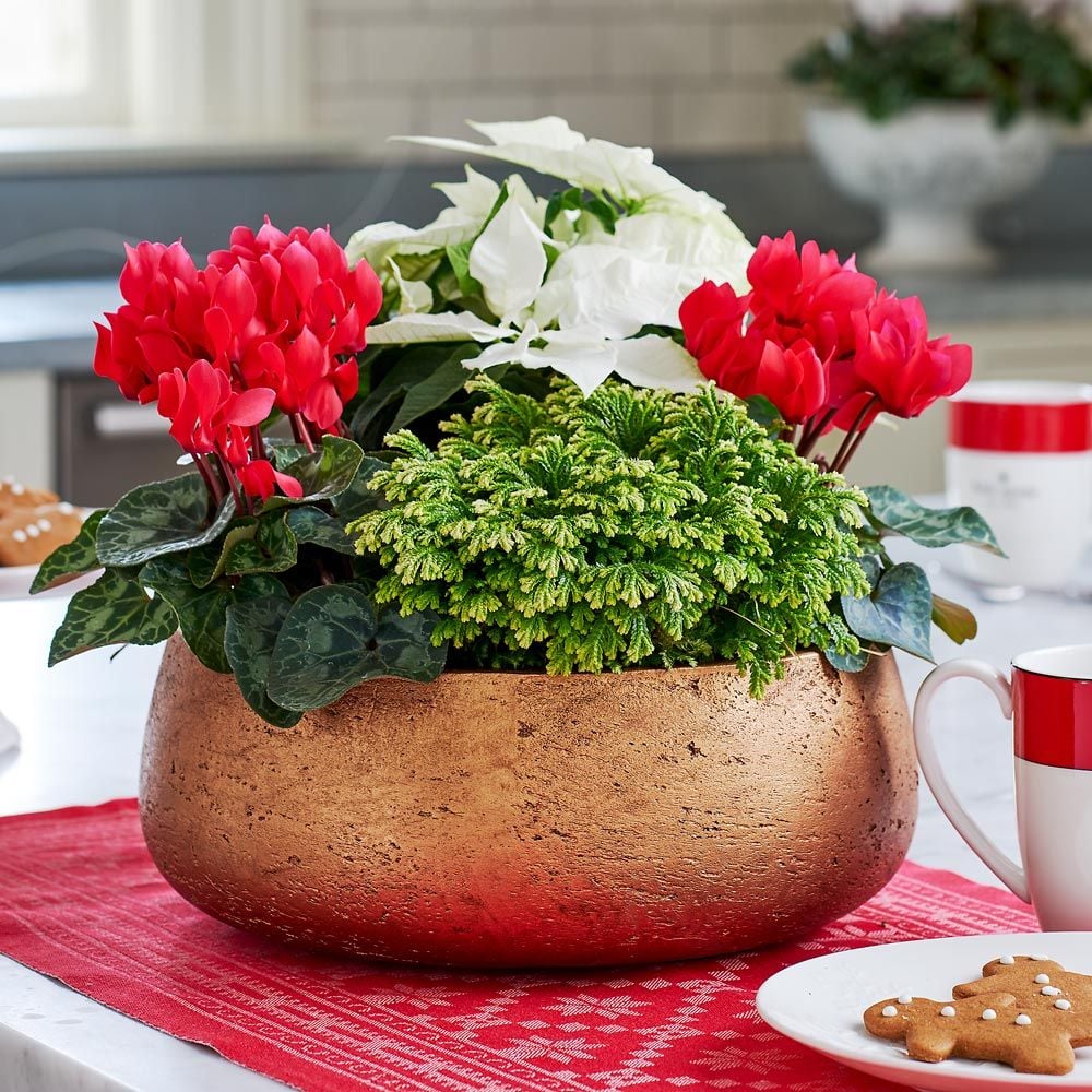 Our Favorite Holiday Gifts