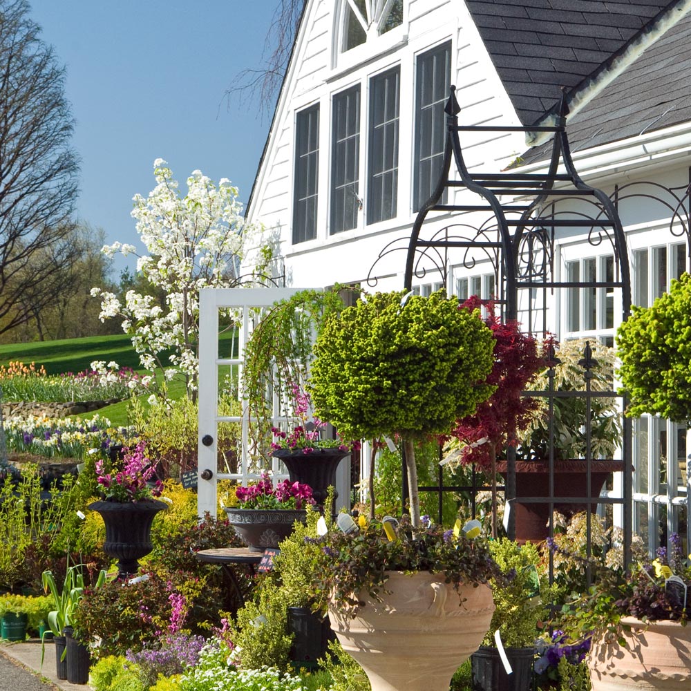 Visit White Flower Farm Plant Nursery White Flower Farm