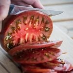 Slicing Tomatoes