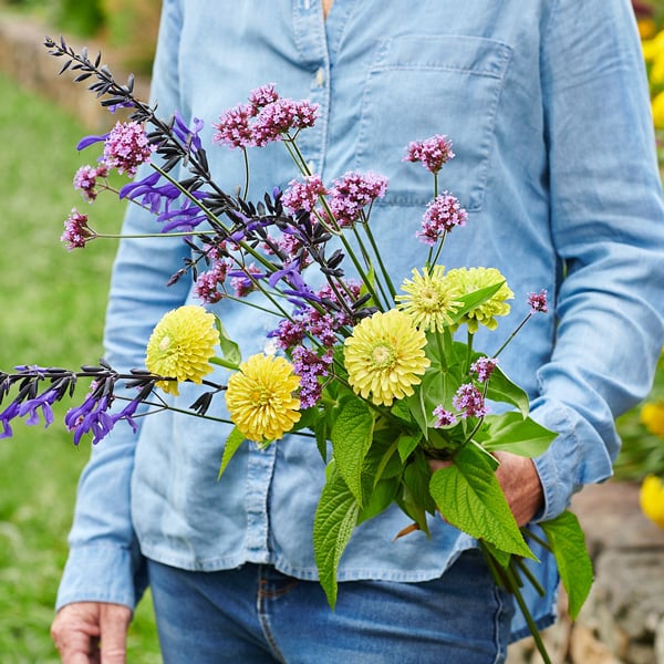 How to Grow a Cut Flower Garden