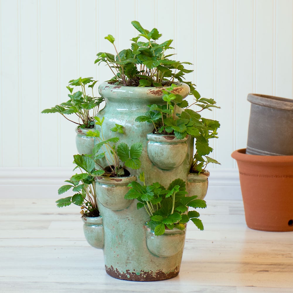 Glazed Ceramic 10-Pocket Strawberry Jar