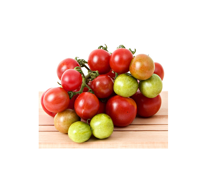 Tomato 'Stupice' White Flower Farm