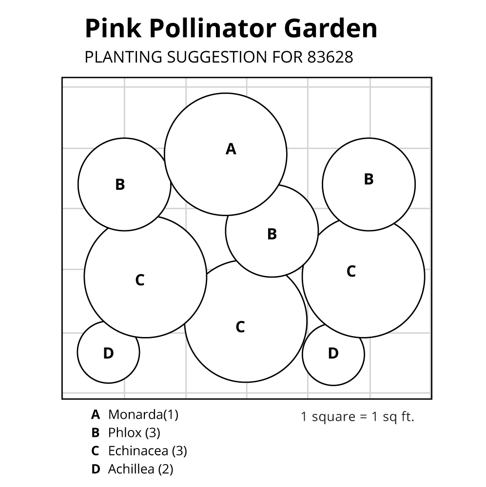 Pink Pollinator Garden White Flower Farm