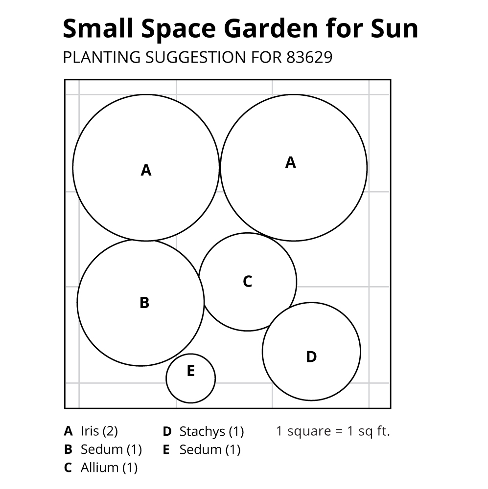 Small Space Garden for Sun White Flower Farm
