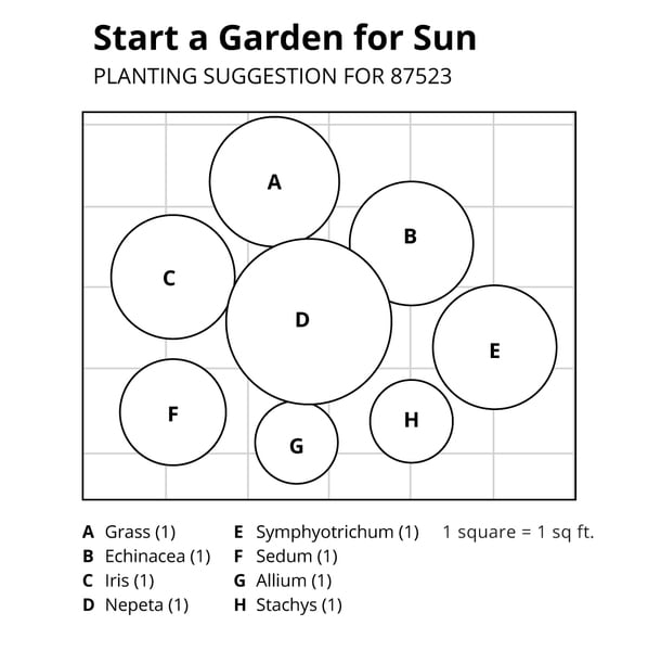 Start a Garden for Sun White Flower Farm
