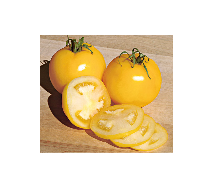 Early Pickers Tomato Collection White Flower Farm