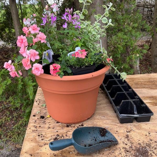 <strong>Saturday, May 17 - 11:30 a.m., rain or shine</strong> 10th Annual Container Potting Event