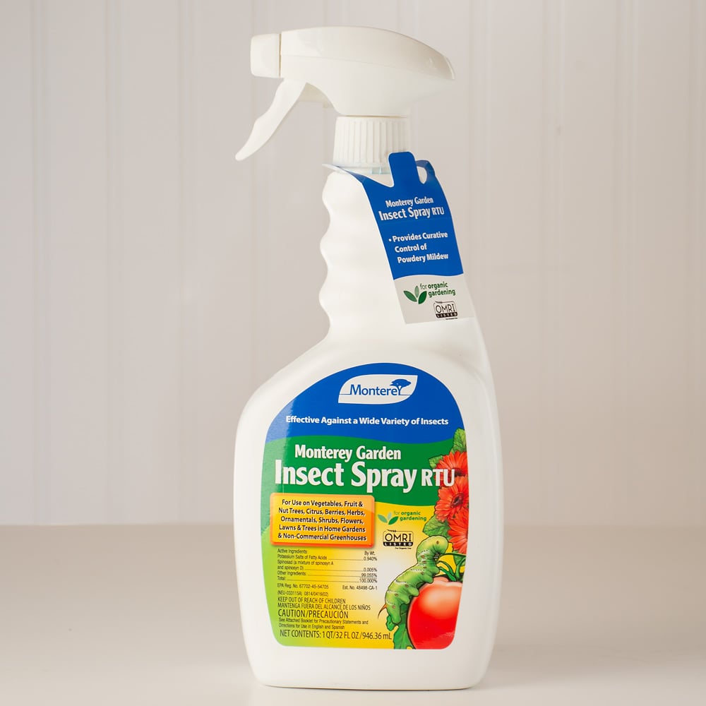 Ready-to-Use Garden Insect Spray, 32 oz