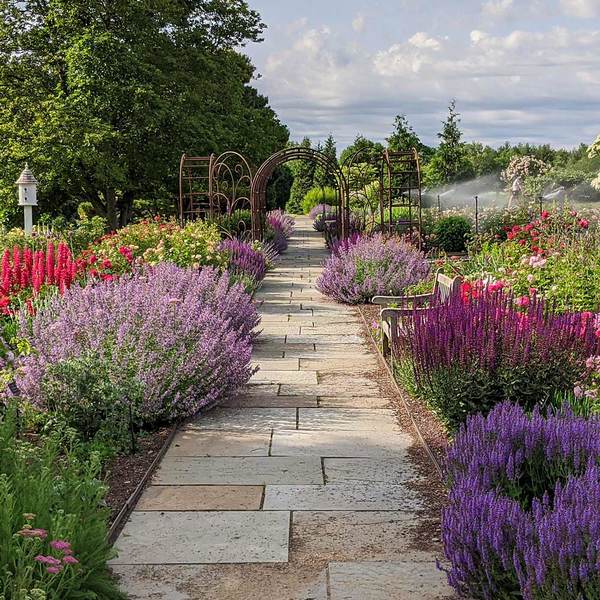 <strong>Sunday, June 11 - 12 p.m. - 1:30 p.m.</strong> Guided Garden Tour & Vegetarian Wrap Bagged Lunch