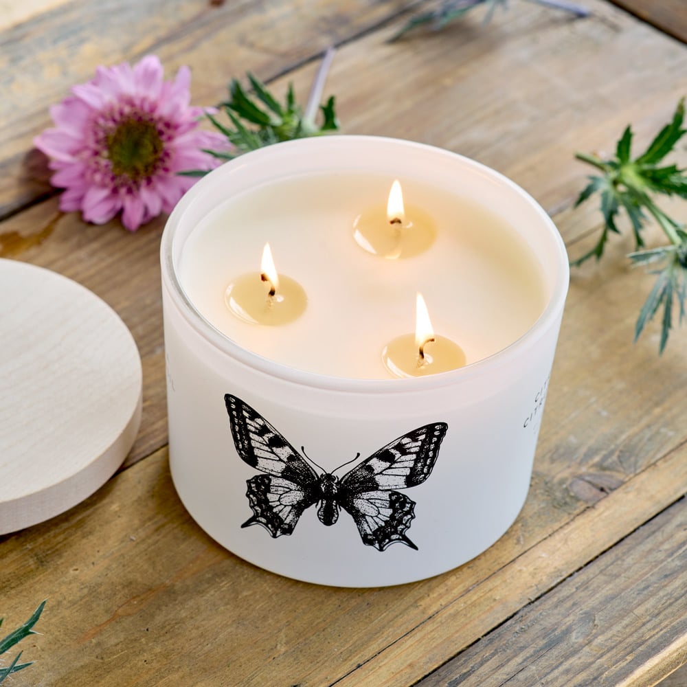 Citronella Citrus & Basil Candle – Butterfly