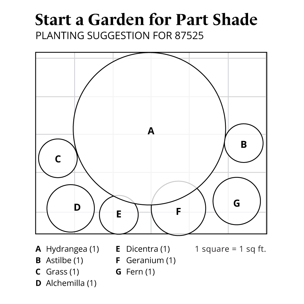 Start a Garden for Part Shade White Flower Farm
