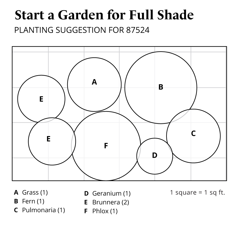 Start a Garden for Full Shade White Flower Farm