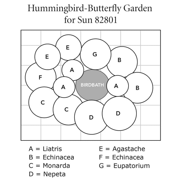 HummingbirdButterfly Garden for Sun White Flower Farm