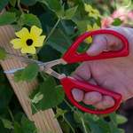 Cutting Tools