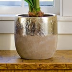  Touch of Gold Cachepot