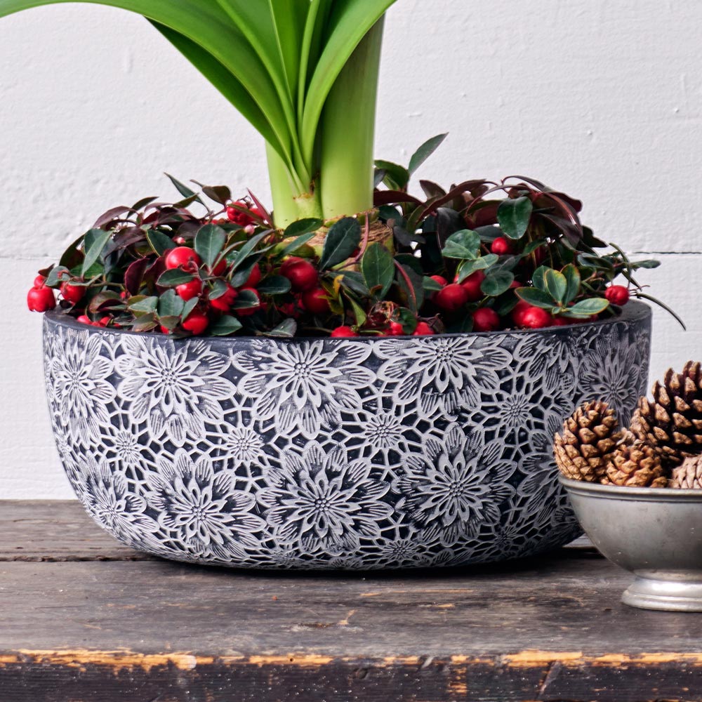 Etched Chrysanthemum Ceramic Bowl 
