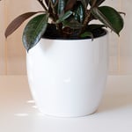  White Ceramic Cachepot, large