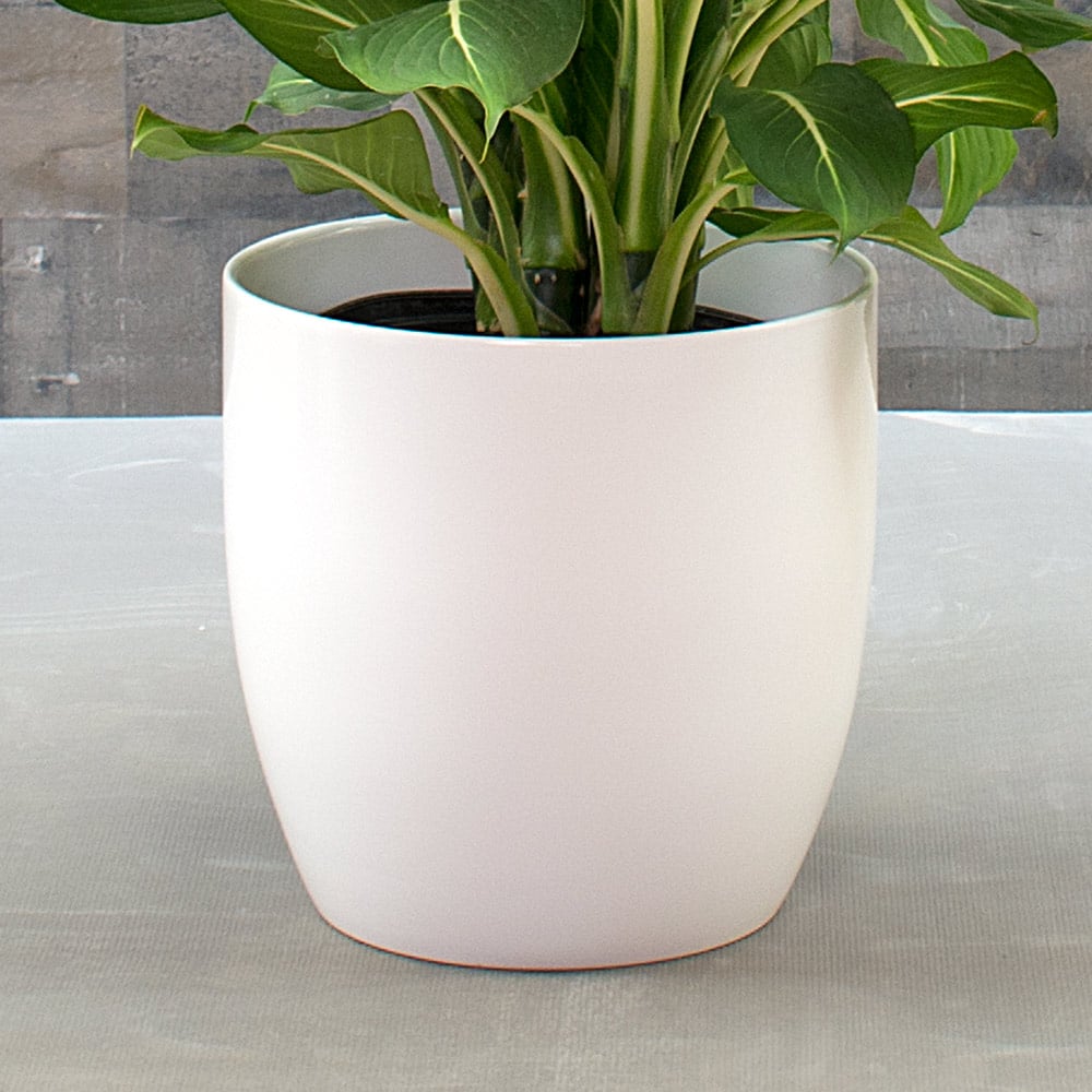 White Ceramic Cachepot, x-large