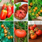 Preplanned Vegetable & Herb Gardens