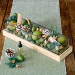  Evergreen Pine Potpourri