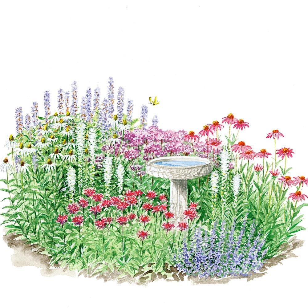 Pollinator Garden Design | Fasci Garden