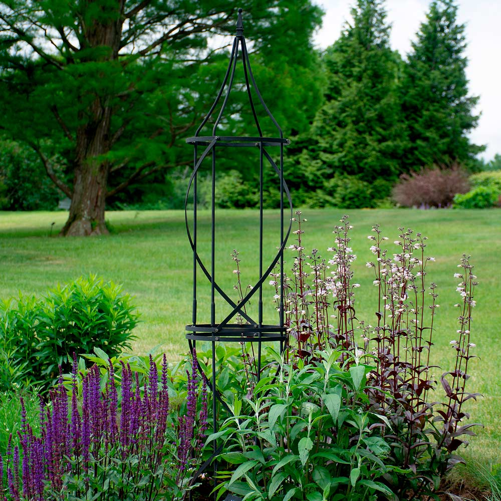 Chateau Tuteur, Black | White Flower Farm