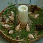  Pine Cone String Lights