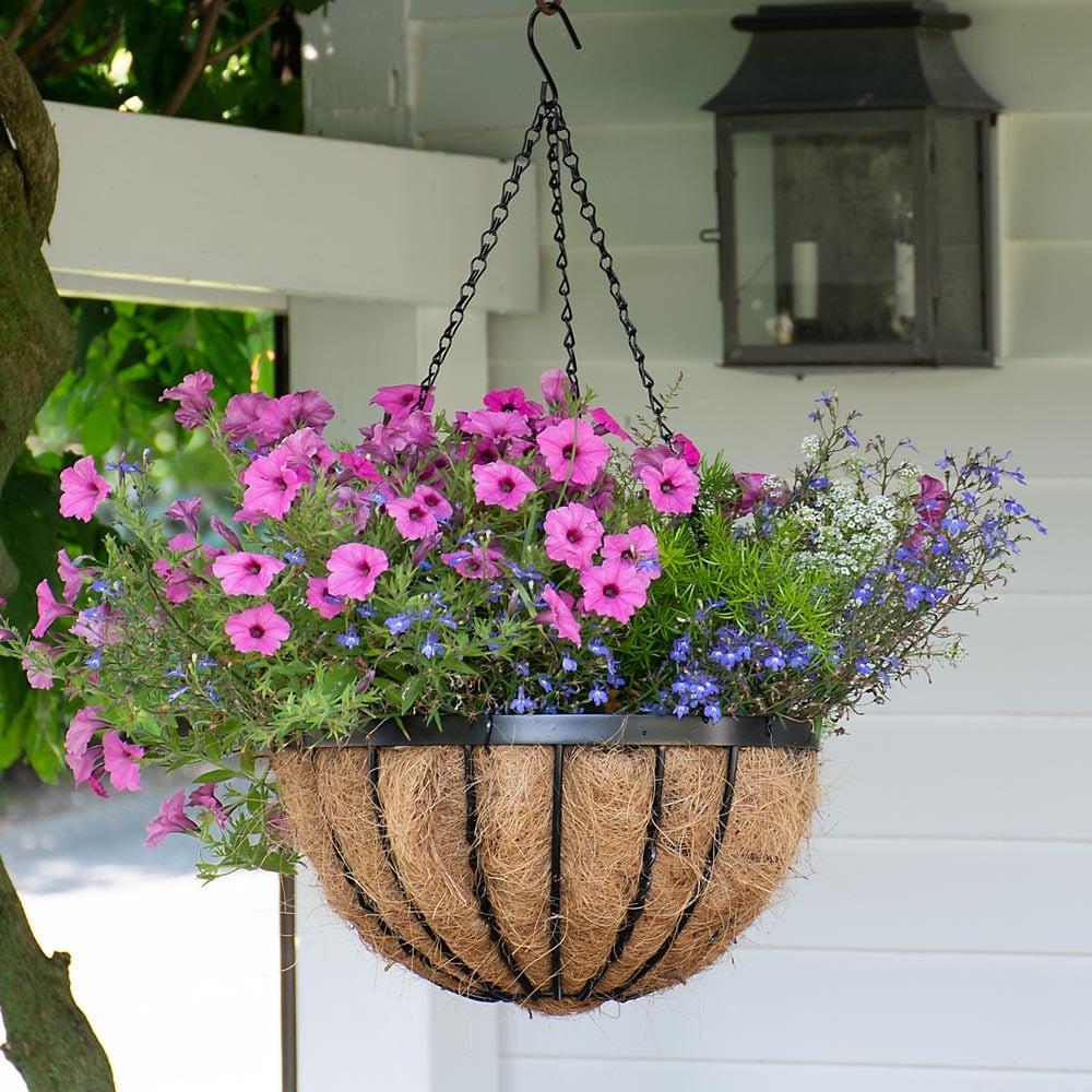 Cottage Charmer Hanging Basket