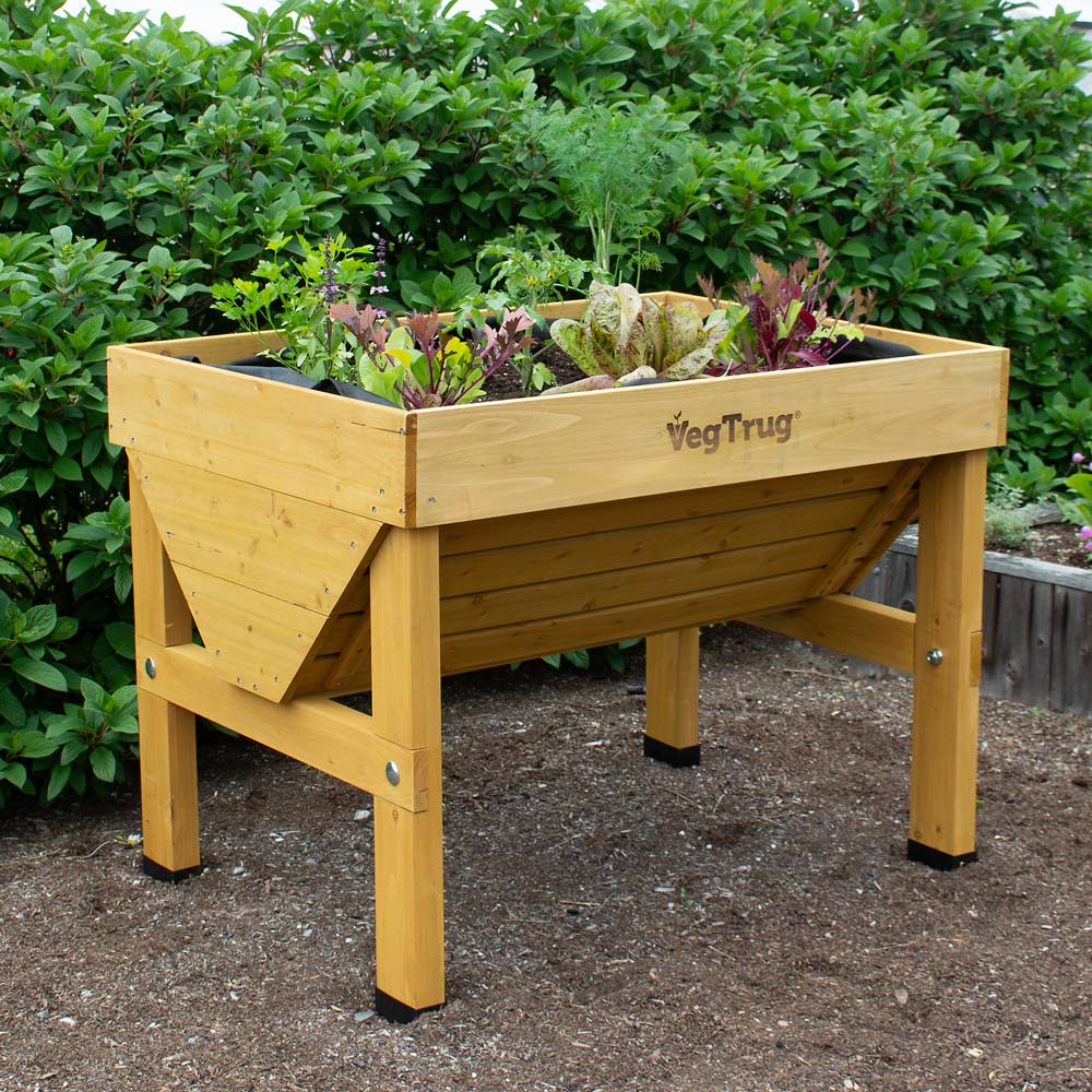 VegTrug Raised Bed White Flower Farm