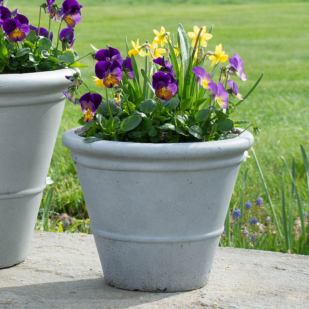 Little Charmers Spring Container Garden