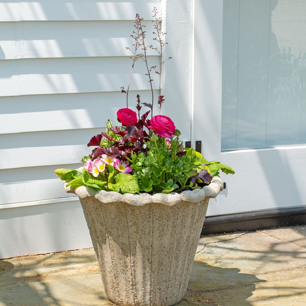 Sweethearts Spring Container Garden