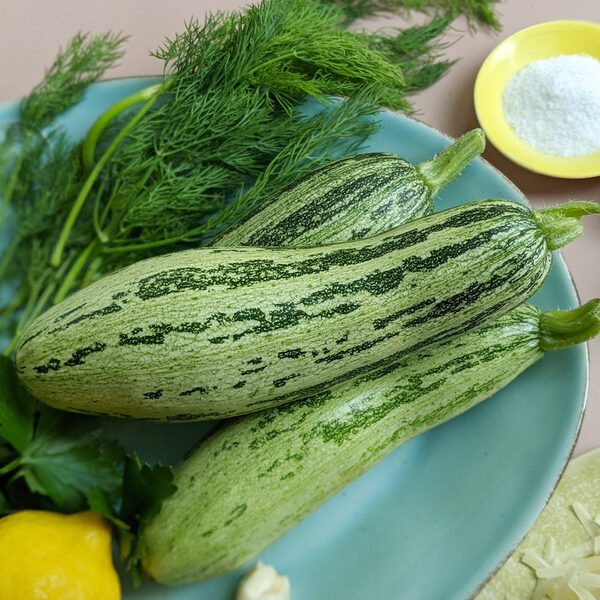 Squash 'Caserta' White Flower Farm