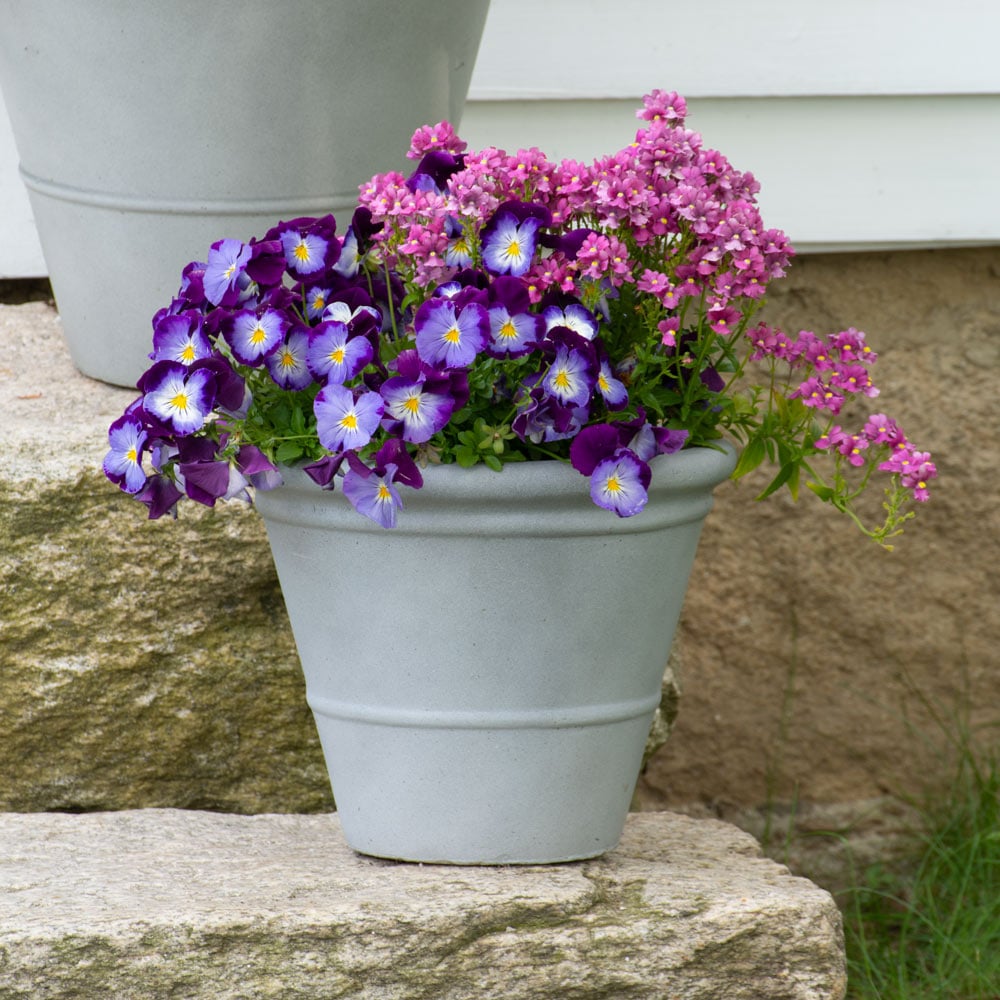 Sweet Macaron Spring Container Garden