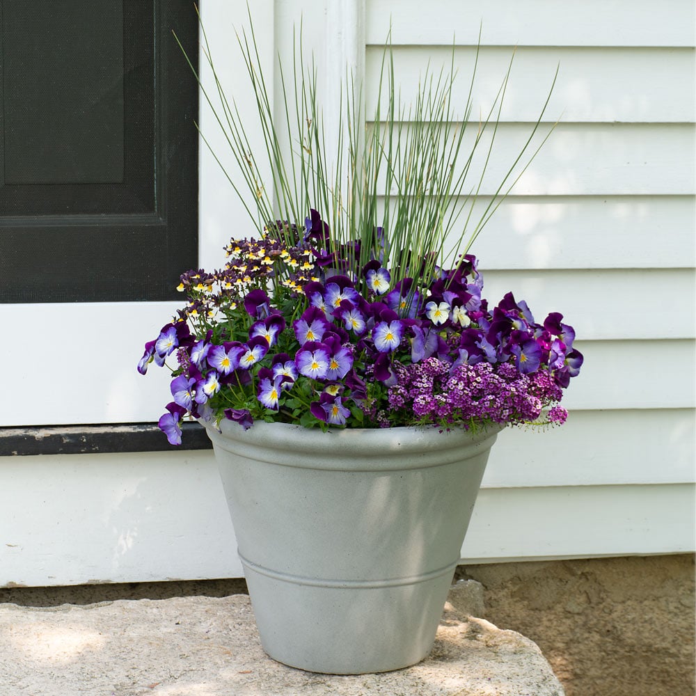 Twilight Tones Spring Container Garden 