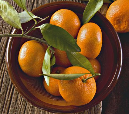 Satsuma Tangerine 10 Lb Box White Flower Farm
