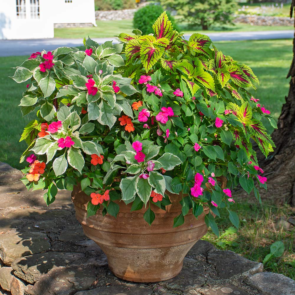 Patchwork Quilt Container Garden