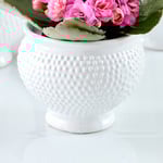  Dotted Ceramic Cachepot, small