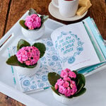  Pretty in Pink Kalanchoe Trio