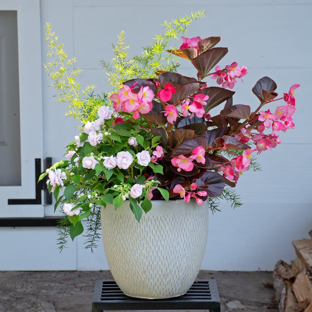 Bronze & Blush Container Garden