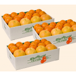  Citrus Sampler Gift Boxes, 10-lb box to 3 Different Addresses - Standard Shipping Included