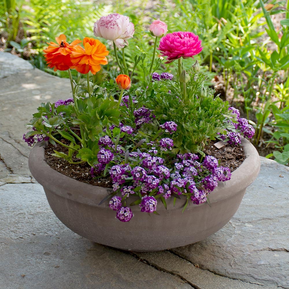 Bergs Erbe Planter, Gray