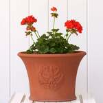 Gifts for Gardeners