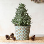 Lavender Gifts